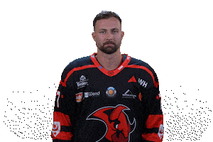 Hockey What Sticker by Saale Bulls