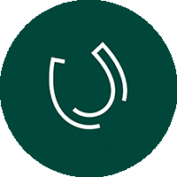 Lipica Sticker