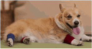 giphy.gif?cid=ecf05e47221bdbea066cca8f7d