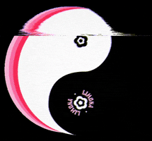 Limona Studios GIF