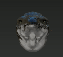 Mosasaurus GIF