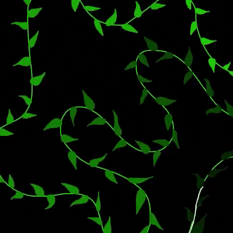 giphy.gif?cid=ecf05e47h1o56s9ckt6eak0rv4