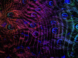 River GIF