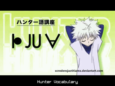 hunter x hunter