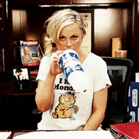 parks and recreation amy GIF