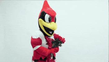 Mascot Reggie GIF by Illinois State University