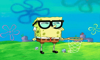 savontemcculler  GIF