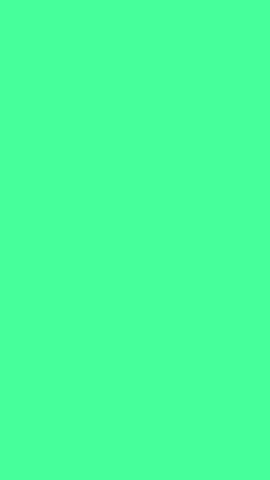 Animated Gif GIF
