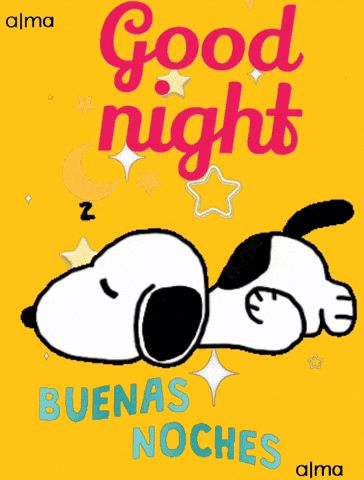 Buenas Noches GIF
