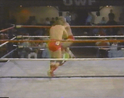 Wrestling GIF