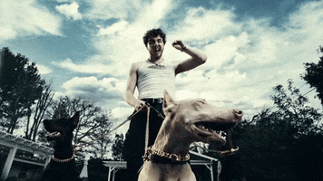 Music Video Dog GIF by Contrast Magazine