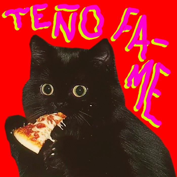 Cat GIF