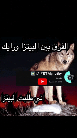 ميمز GIF