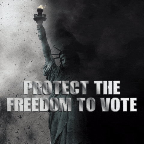 Voting Team Usa GIF by Creative Courage