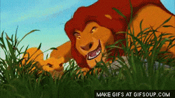 Throw Simba GIFs - Find & Share on GIPHY