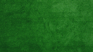 Pioneer Athletics GIF