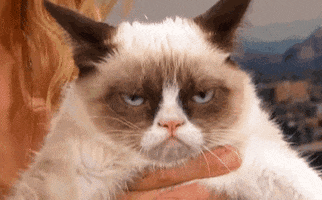 Grumpy Cat Annoyed Face GIF