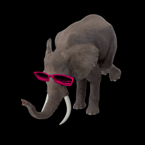 manadacriativa elephant oculos elefante meditação GIF