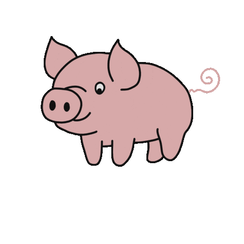 Happy New Year Pig Sticker by coraliedudafotografie