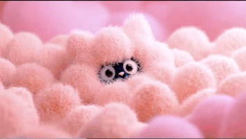 Happy Birthday Leo GIF
