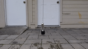 200.gif?cid=fc005b08387cb9a48cfc629f61e5f8be4d1aa5d9ec29d2dd&rid=200.gif&ct=g