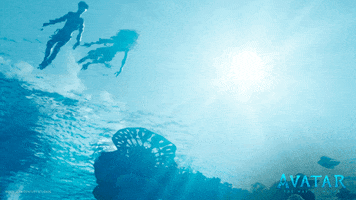 Jump In Swimming GIF by Avatar