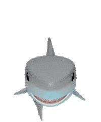 Surprise Shark Sticker