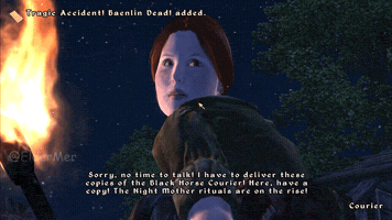 Elder Scrolls Sport GIF