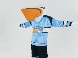 PelicansFi hockey mascot ice hockey pelicans GIF