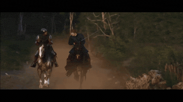 Sword Fighting History GIF