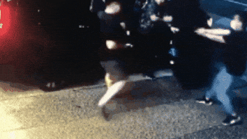 館長 Power30678 GIF