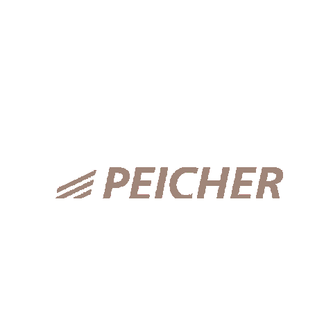 Uscars Sticker by peicherautomotive