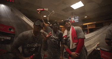 Celebrate World Series GIF by MLB