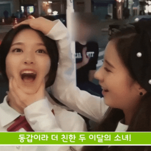 Loonatape GIF