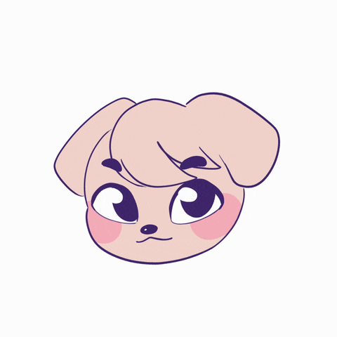 Stray Kids GIF