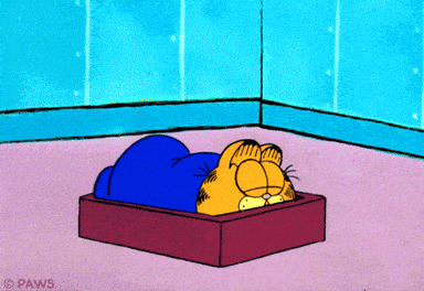 Balancing the Scales: Embracing Change and Uncertainty