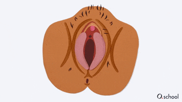 Orgasm GIF
