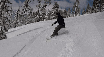 q snowboarding GIF