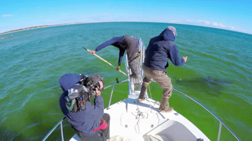 sea celebrate GIF by Discovery Europe