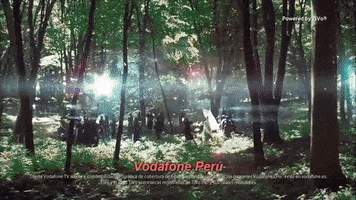 card  GIF