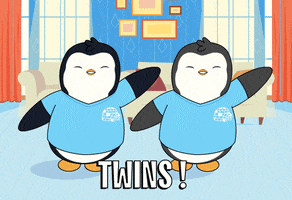 Penguin Twinning GIF by Pudgy Memez