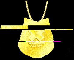 gold medal x games aspen 2019 GIF by X Games 