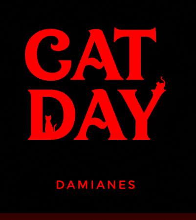 Cat Day GIF by AW