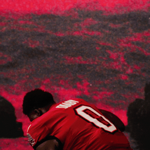 GIF by Tampa Bay Buccaneers