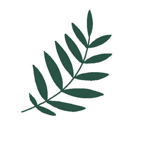 Leaf Sticker