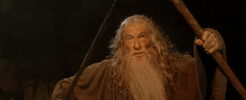 denied lord of the rings GIF