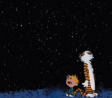 Calvin And Hobbes Stars GIF