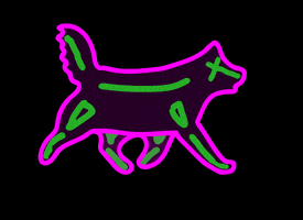 dog rave GIF by dieselraptor