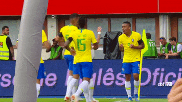 world cup selecao masculina GIF by Confederação Brasileira de Futebol