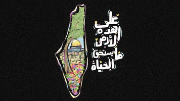 Palestine Gaza GIF